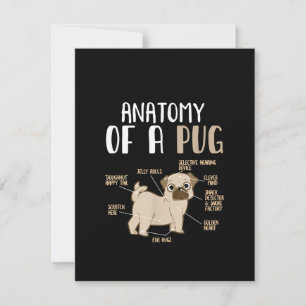 Carte De Remerciements Anatomie D'Une race Carlin Chien Animaux De Compag