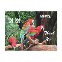 Carte de remerciements anglais/français/chinois