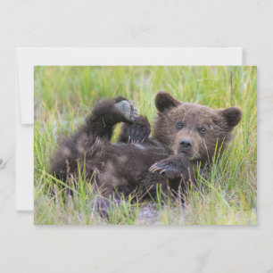 Carte De Remerciements Animaux Bébés les Plus Mignons Ourson Brun Bébé
