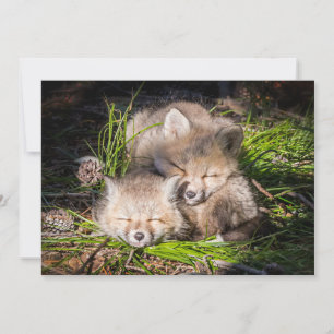 Carte De Remerciements Animaux de bébés cutest Baby Red Fox Kits Sleepi