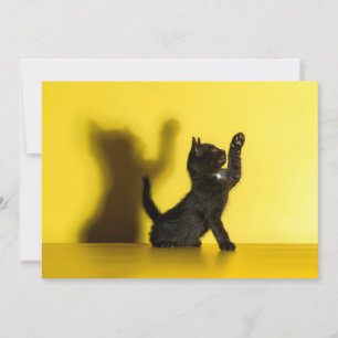 Carte De Remerciements Animaux de bébés cutest   Black Cat Jouer