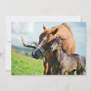Carte De Remerciements Animaux de bébés cutest   Black Foy avec maman