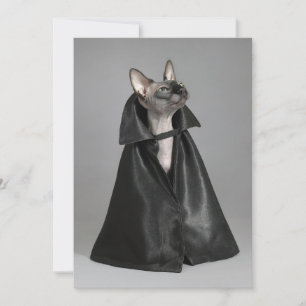 Carte De Remerciements Animaux de bébés cutest Chat sans poil Sphynx
