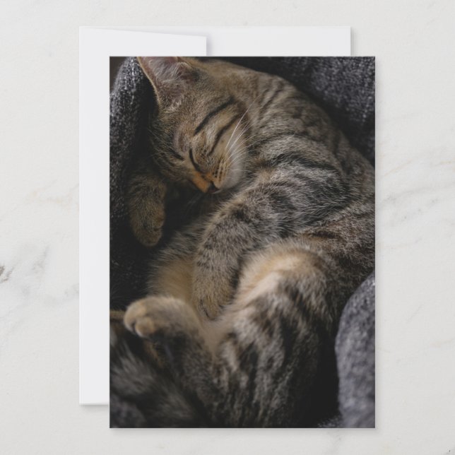 Carte De Remerciements Animaux de bébés cutest | Chat Tabby Dormant (Devant)