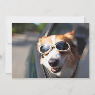 Carte De Remerciements Animaux de bébés cutest   Corgi lunettes dans la v