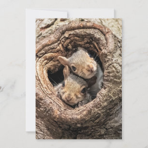 Carte De Remerciements Animaux de bébés cutest   Deux jeunes écureuils