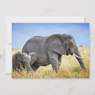 Carte De Remerciements Animaux de bébés cutest Eléphant africain et mèr