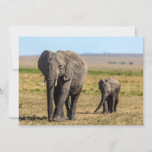 Carte De Remerciements Animaux de bébés cutest   Eléphant mère & bébé