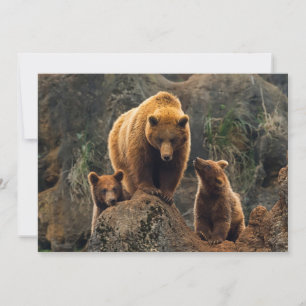 Carte De Remerciements Animaux de bébés cutest   Famille d'ours Brown