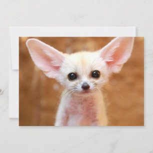 Carte De Remerciements Animaux de bébés cutest   Fennec Fox