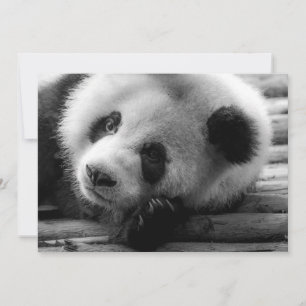 Carte De Remerciements Animaux de bébés cutest Giant Panda Bear Cub