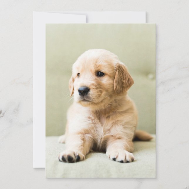 Carte De Remerciements Animaux de bébés cutest | Golden Retriever Puppy (Devant)