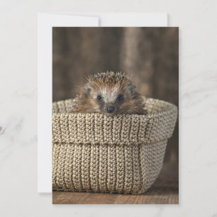 Carte De Remerciements Animaux de bébés cutest   Hérisson dans un panier