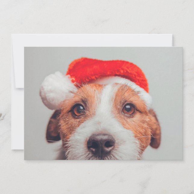 Carte De Remerciements Animaux de bébés cutest | Jack Russell Chien Père  (Devant)