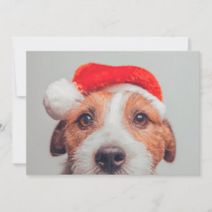 Carte De Remerciements Animaux de bébés cutest   Jack Russell Chien Père 