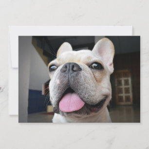 Carte De Remerciements Animaux de bébés cutest   Le visage de Bulldog