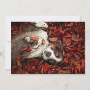 Carte De Remerciements Animaux de bébés cutest   L'espagnol dans les feui