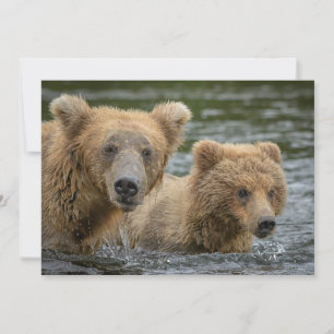 Carte De Remerciements Animaux de bébés cutest   Mama Bear & Her Cubs