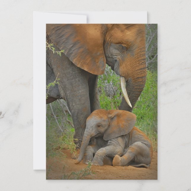 Carte De Remerciements Animaux de bébés cutest | Mama Elephant & Baby (Devant)
