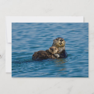 Carte De Remerciements Animaux de bébés cutest   Mère & Bébé Sea Otter