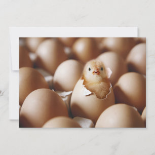 Carte De Remerciements Animaux de bébés cutest   Nouveau bébé poussin