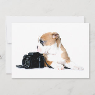 Carte De Remerciements Animaux de bébés cutest   Old Tyme British Bulldog