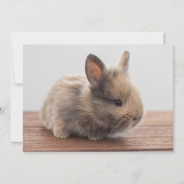Carte De Remerciements Animaux de bébés cutest | Petit lapin bébé (Devant)