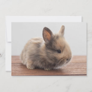 Carte De Remerciements Animaux de bébés cutest   Petit lapin bébé