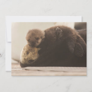 Carte De Remerciements Animaux de bébés cutest   Pompe Otter nouveau-né