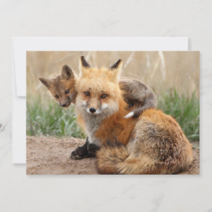 Carte De Remerciements Animaux de bébés cutest   Renard rouge et bébé