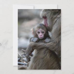 Carte De Remerciements Animaux de bébés cutest   Singe et bébé japonais