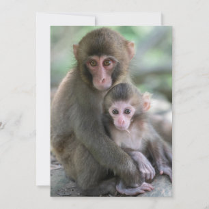 Carte De Remerciements Animaux de bébés cutest   Singes japonais