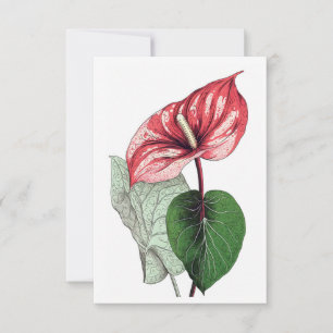 Carte De Remerciements Anthurium Fleur Tropical Blank