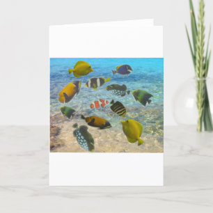 Carte De Remerciements Aquarium avec poissons multicolores