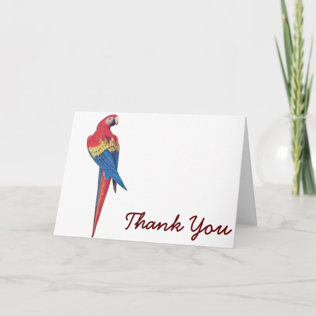 Carte De Remerciements Ara rouge (Devant)