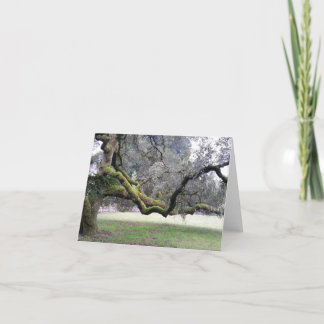 Carte De Remerciements Arbre fiable avec branches fortes étirées