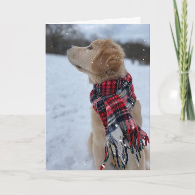 Carte De Remerciements Archie neige de Noël #2 (Devant)