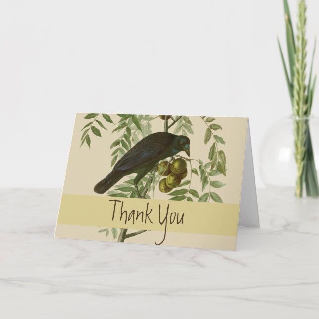 Carte De Remerciements Audubon American Crow Black Bird (Devant)