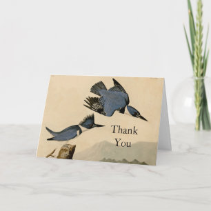 Carte De Remerciements Audubon Belted Kingfisher Wildlife Bird