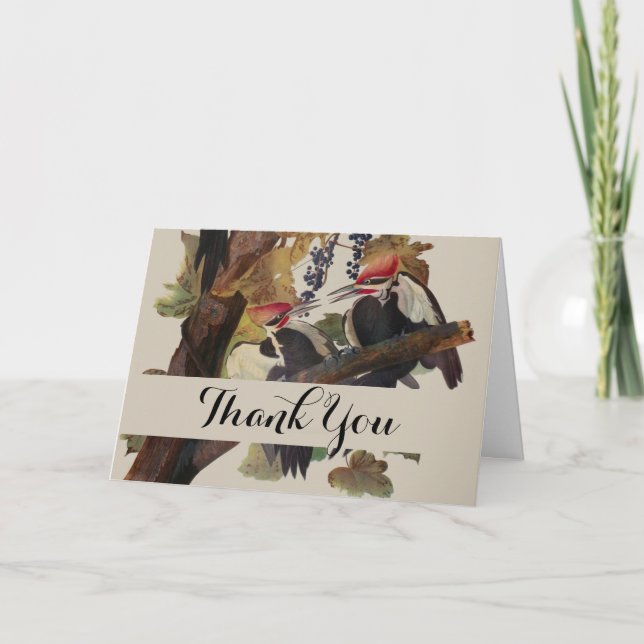 Carte De Remerciements Audubon Peinture d'Oiseaux Pic Pilé (Devant)