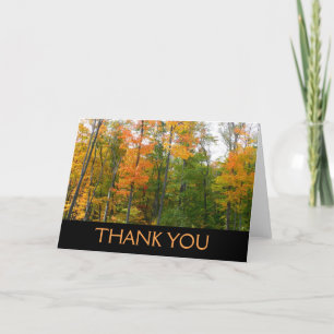 Carte De Remerciements Automne Maple Trees Automne Photographie de la nat