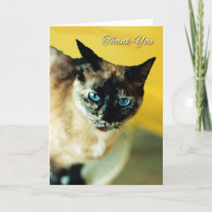 carte de remerciements avec chat siamois de couleu
