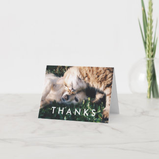 Carte de remerciements avec le chat et le chien