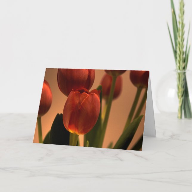 Carte De Remerciements Baisse de soleil (Devant)