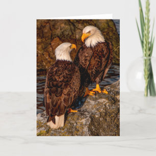Carte de remerciements Bald Eagle Mates