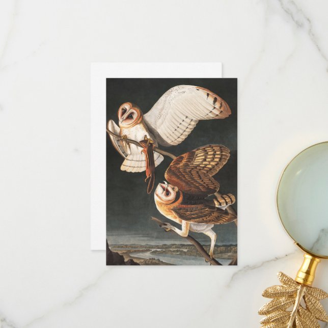 Carte De Remerciements Barn Owl par John James Audubon (Devant/Arrière en situation)