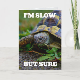 CARTE DE REMERCIEMENTS BATTU BIRTHDALE TURTLE BIG GREETING CARD