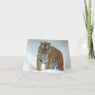 Carte De Remerciements Beau tigre en neige