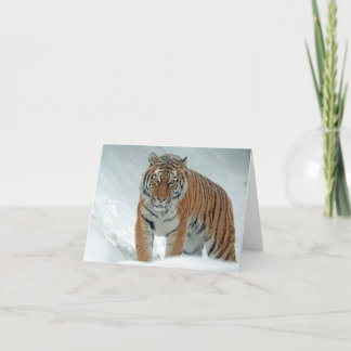 Carte De Remerciements Beau tigre en neige