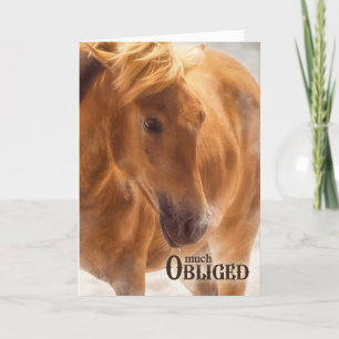 Carte De Remerciements Beaucoup Obligé Horse Lover Western